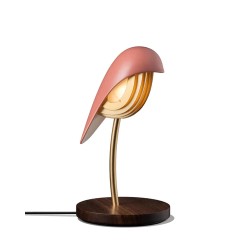 BR01-BB BIRD light- Burnt Brick