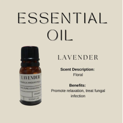 Double C Lavender Essential Oil 10ml